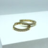 Brinco Argolinha Fernanda G Folheado a Ouro 18K