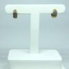 Brinco Argolinha Colorida Dulce P Folheado a Ouro 18K